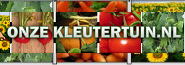 Kleuter
